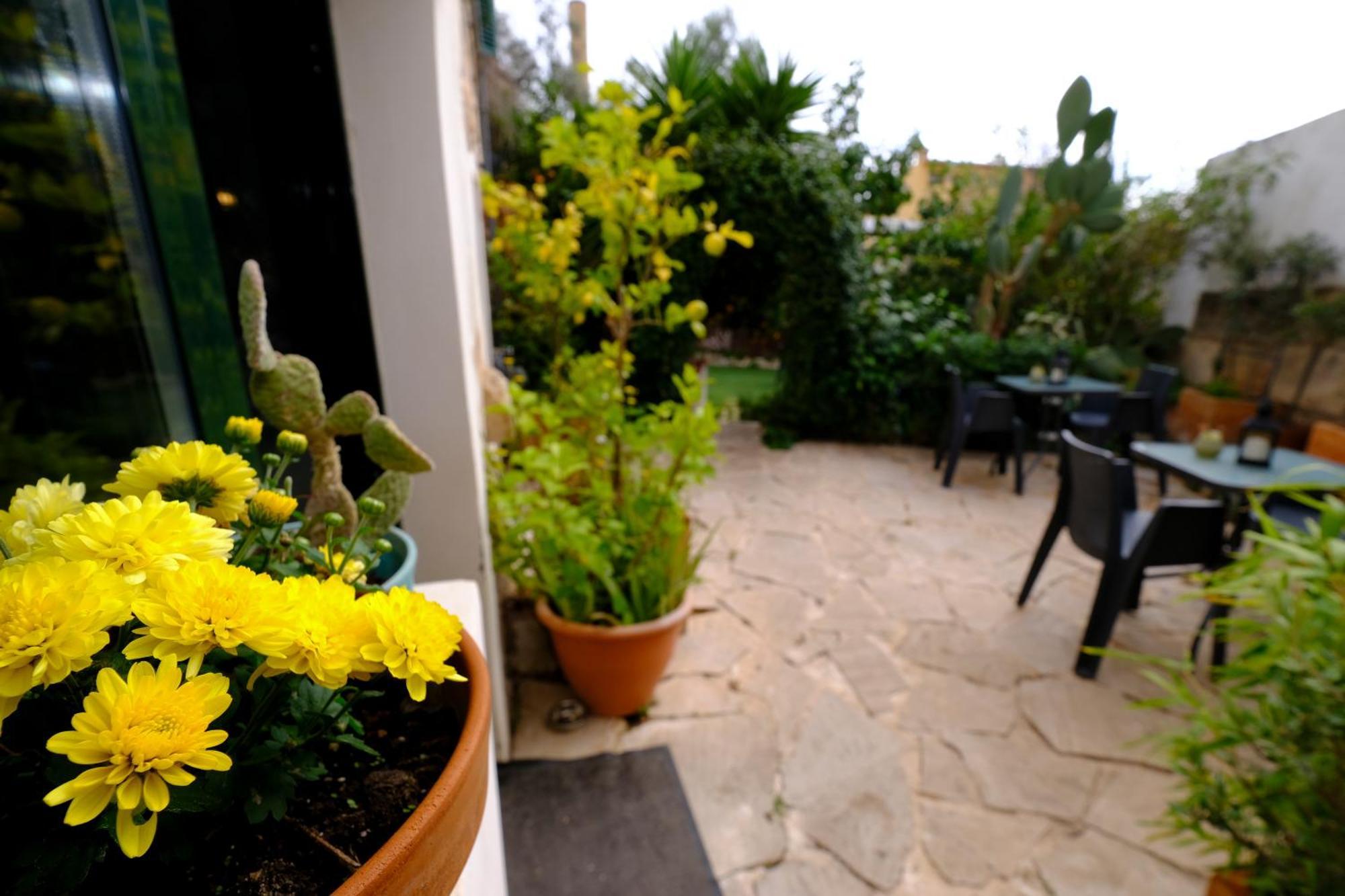 Casa Caimari Guest House, For Mountain Lovers! Екстериор снимка
